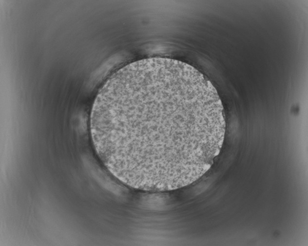 X0000111860282200909031758