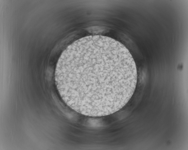X0000111860283200909031758