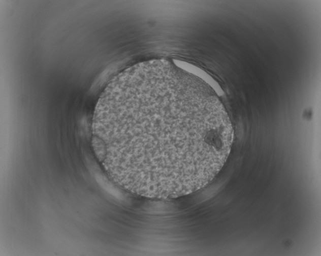 X0000111860286200909031758