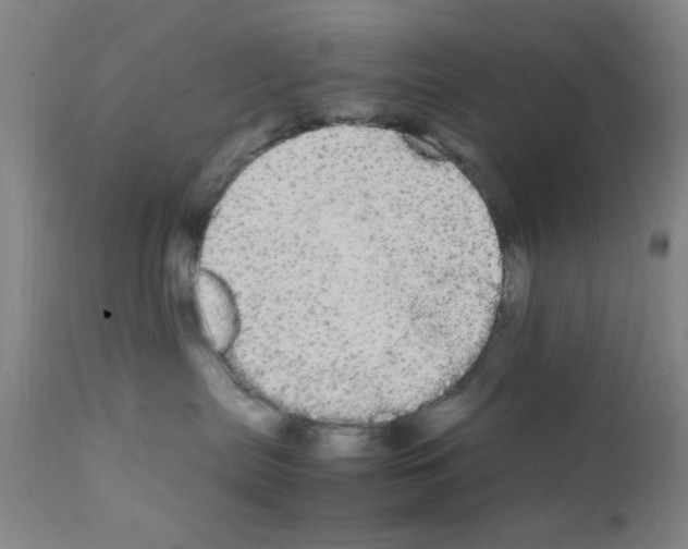 X0000111860287200909031758