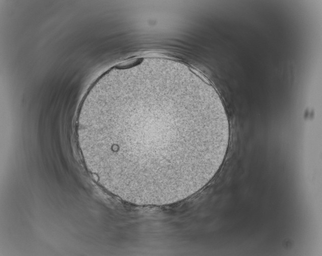 X0000111860289200909031758