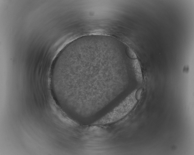 X0000111860290200909031758
