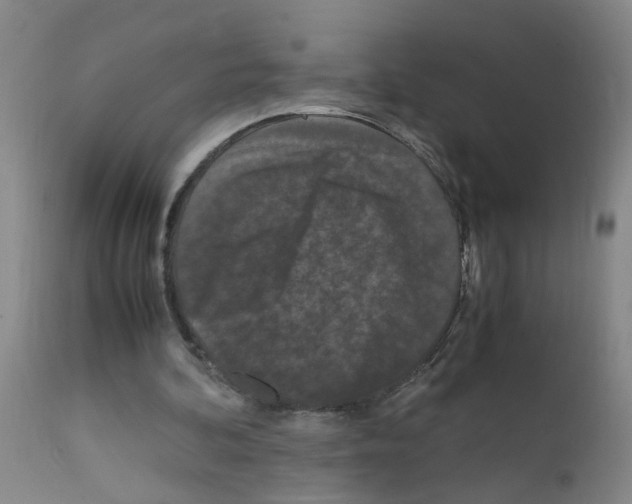 X0000111860292200909031758