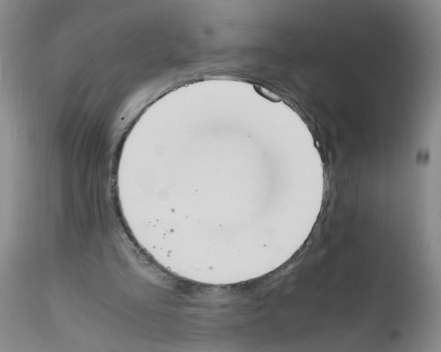 X0000111860293200909031758