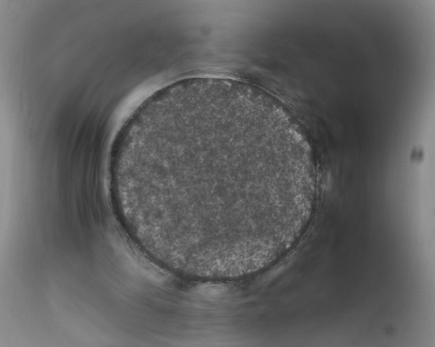 X0000111860294200909031758