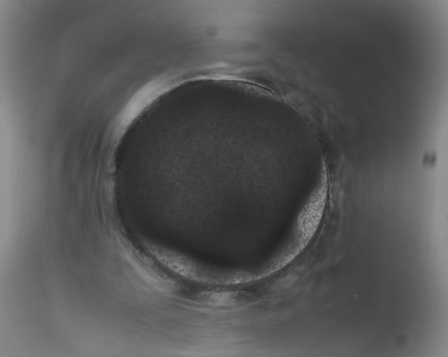 X0000111860295200909031758