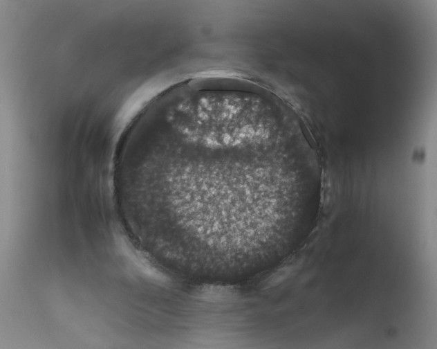 X0000111860296200909031758