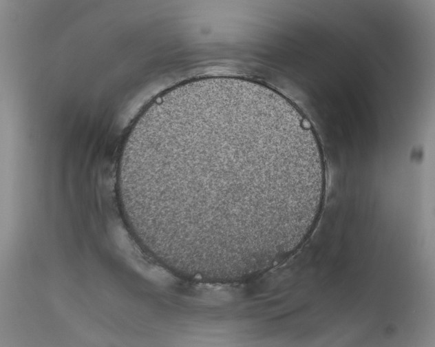 X0000111860297200909031758