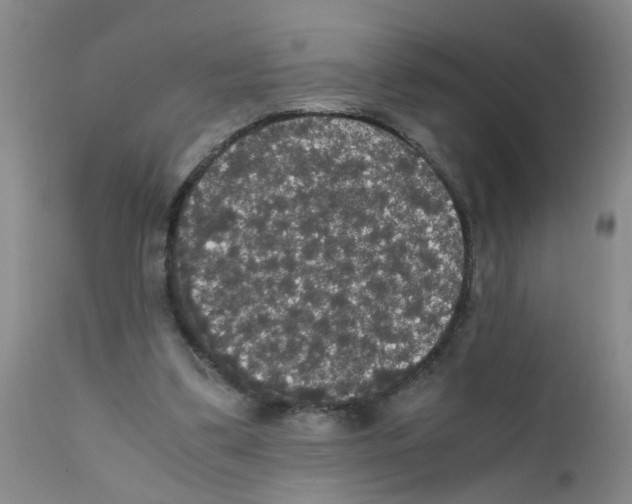 X0000111860299200909031758