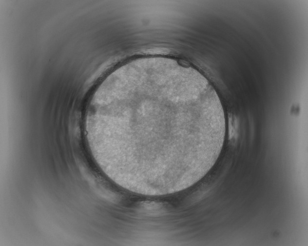 X0000111860300200909031758