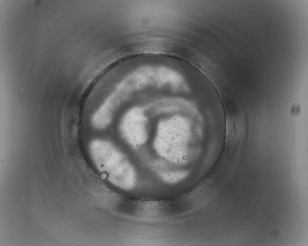 X0000111860301200909031758