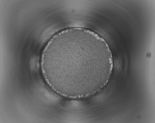 X0000111860302200909031758
