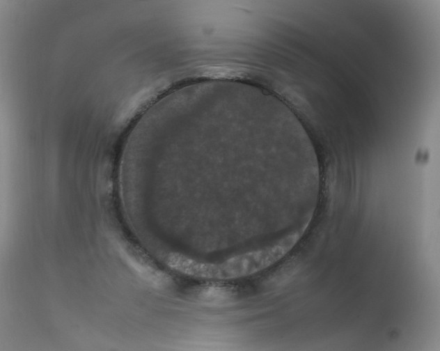 X0000111860303200909031758