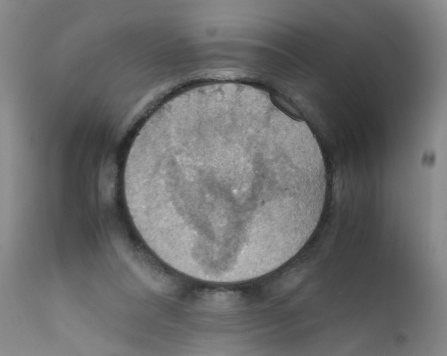 X0000111860304200909031758