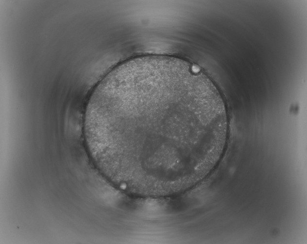 X0000111860305200909031758