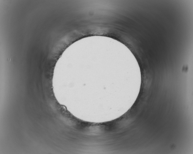 X0000111860307200909031758