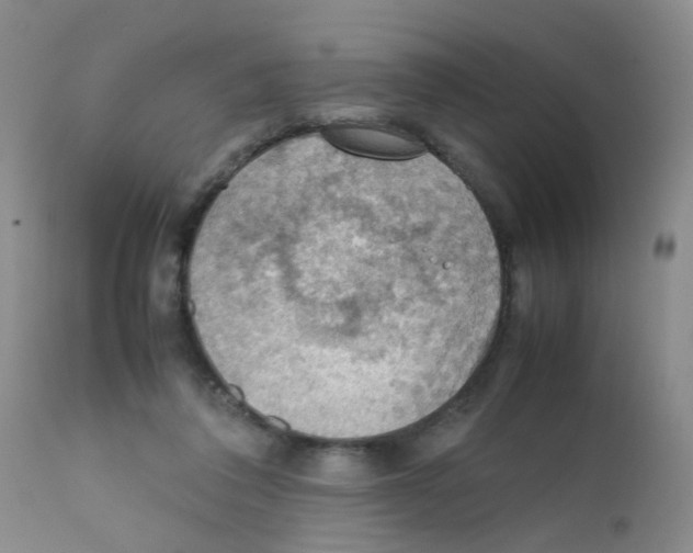 X0000111860308200909031758