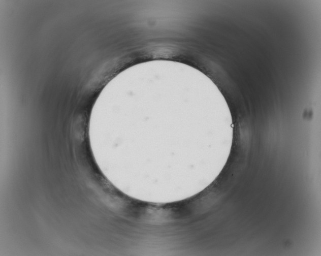 X0000111860311200909031758