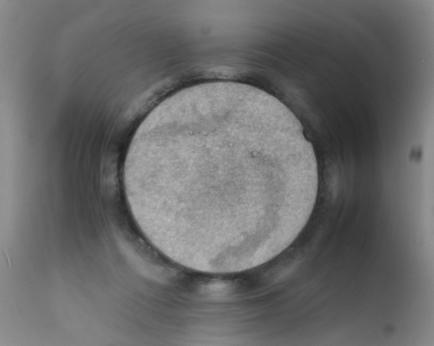 X0000111860312200909031758
