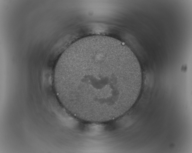 X0000111860313200909031757
