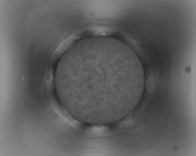 X0000111860314200909031757