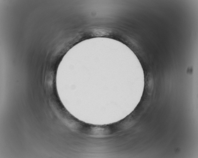 X0000111860315200909031757