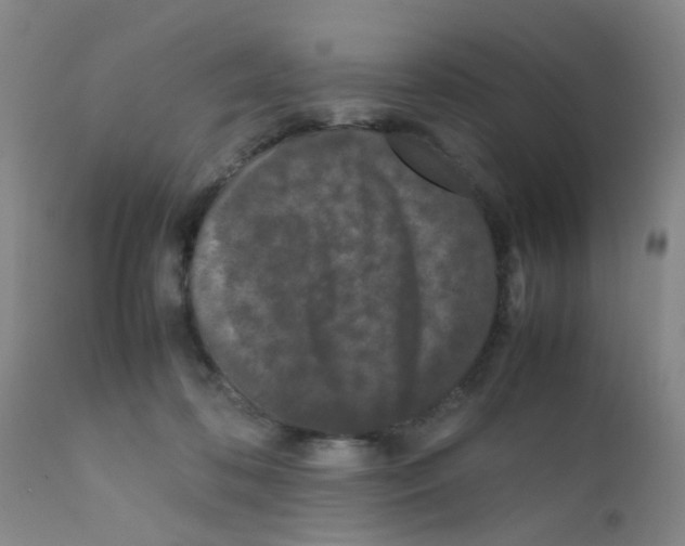 X0000111860316200909031757