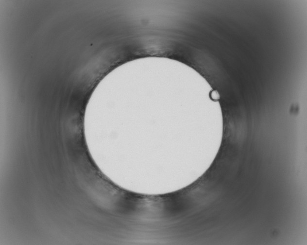 X0000111860317200909031757