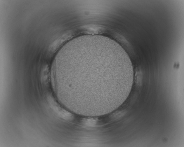 X0000111860318200909031757