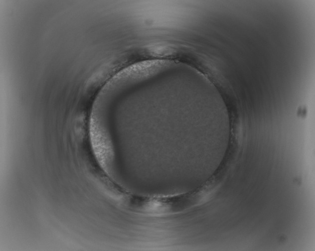 X0000111860319200909031757