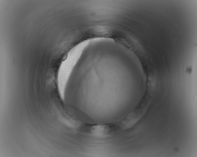 X0000111860320200909031757