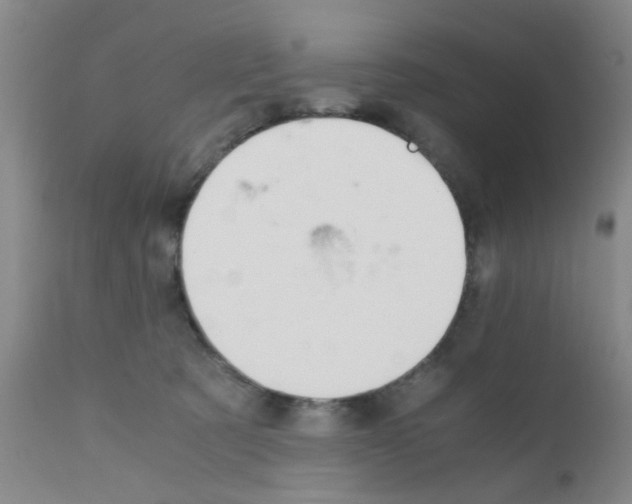X0000111860321200909031757
