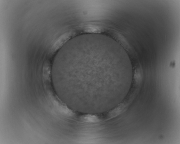 X0000111860322200909031757
