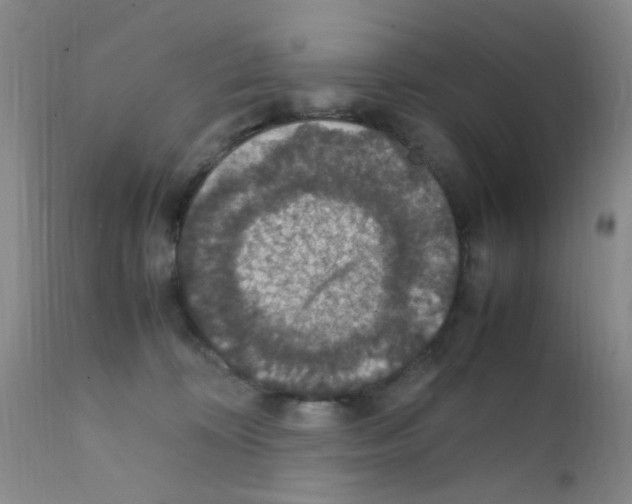 X0000111860324200909031757
