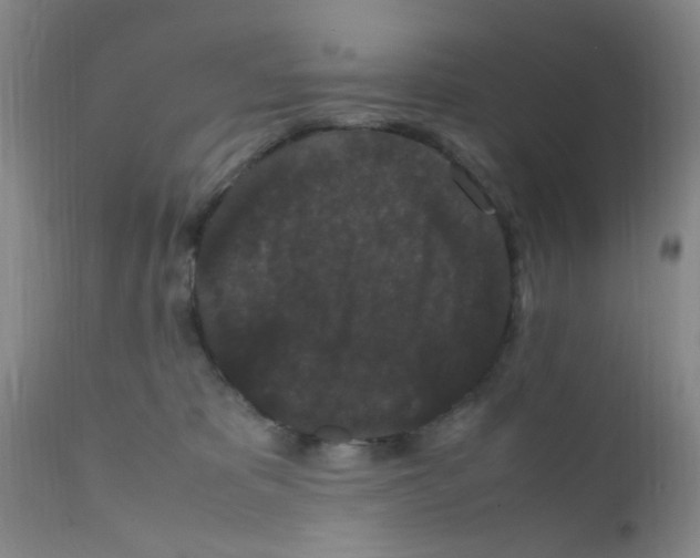 X0000111860325200909031757