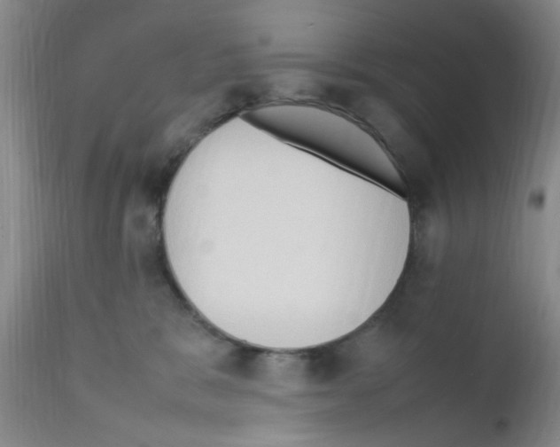 X0000111860327200909031757