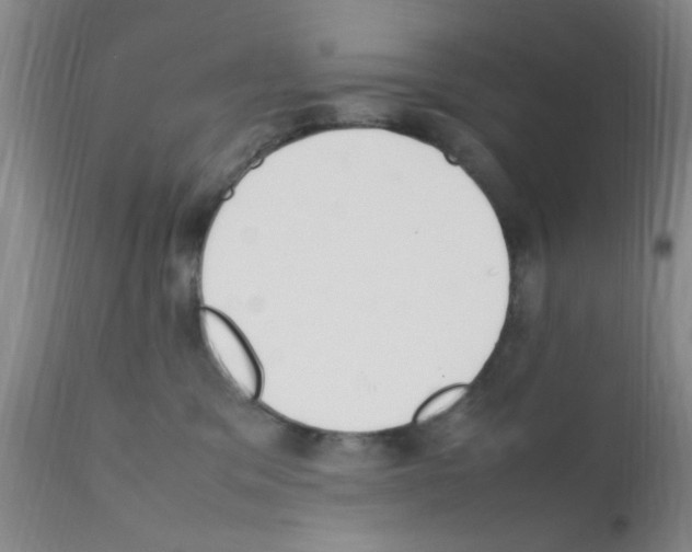 X0000111860329200909031757