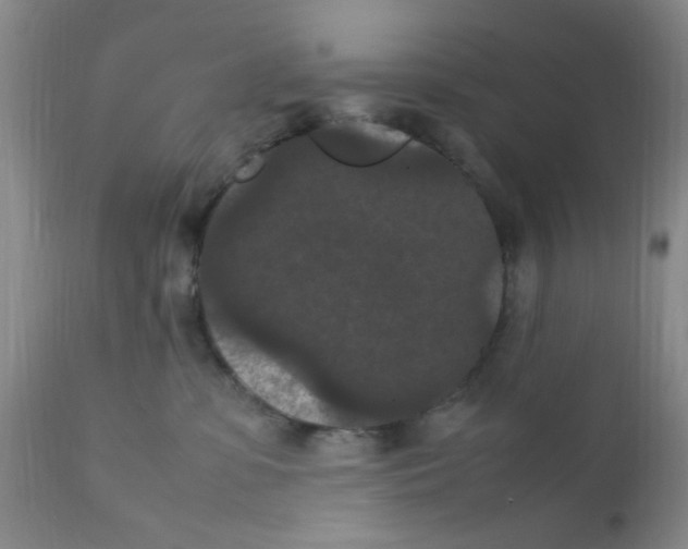 X0000111860331200909031757