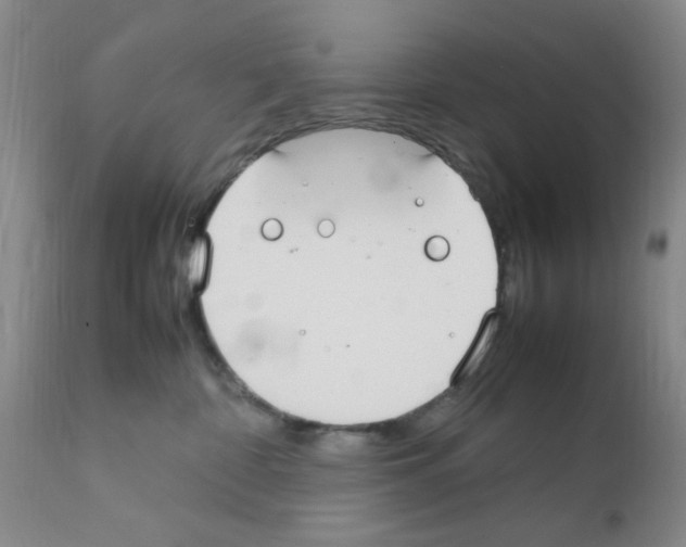 X0000111860332200909031757