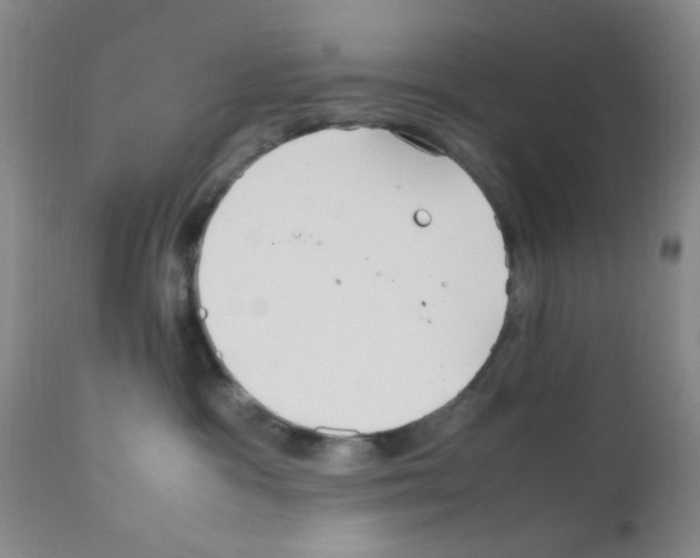 X0000111860333200909031757
