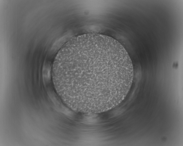 X0000111860334200909031757