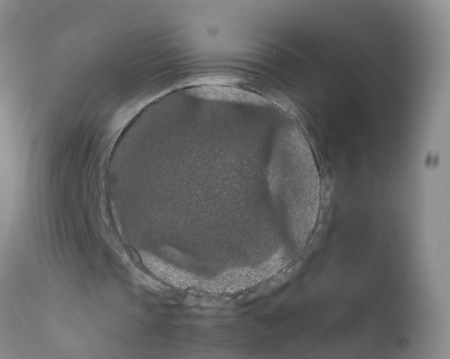 X0000111860337200909031756