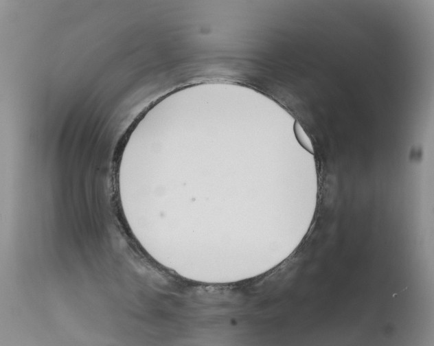 X0000111860338200909031756