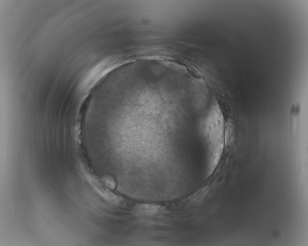 X0000111860339200909031756
