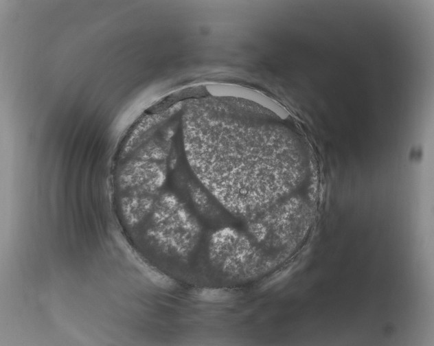 X0000111860341200909031756
