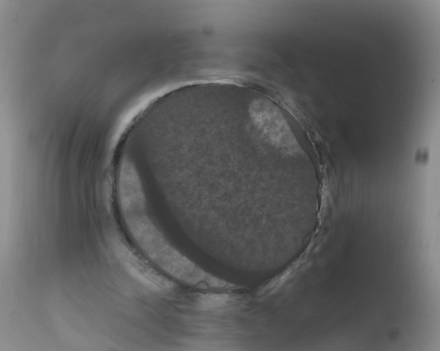 X0000111860342200909031756
