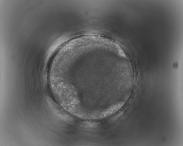 X0000111860343200909031756