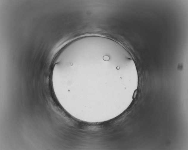 X0000111860344200909031756