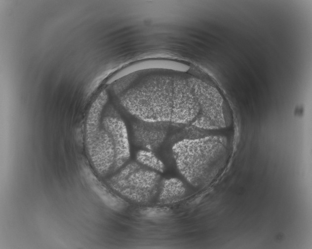 X0000111860345200909031756
