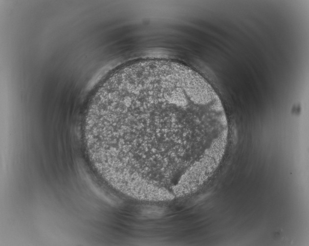 X0000111860347200909031756